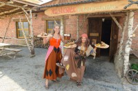 /album/fotogalerie-pohadkova-rise-fabula-kamenice-nad-lipou-zabavni-park/hostinec-u-loupeznika-bambitky4-jpg/